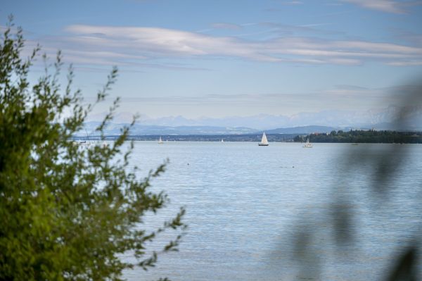 Kanuverleih - Kanu mieten in Überlingen | Surfschule Bodensee